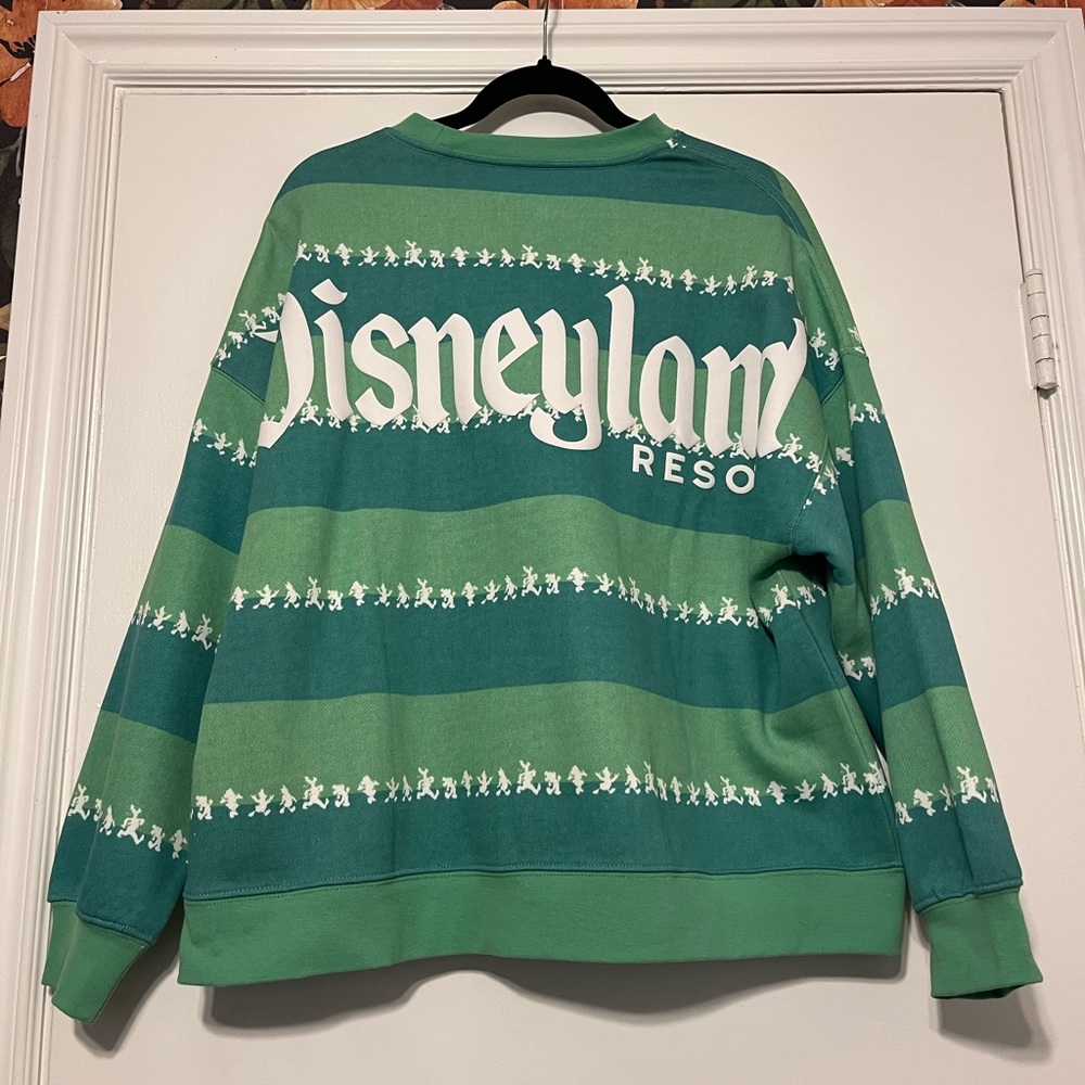 Disneyland Spirit Jersey